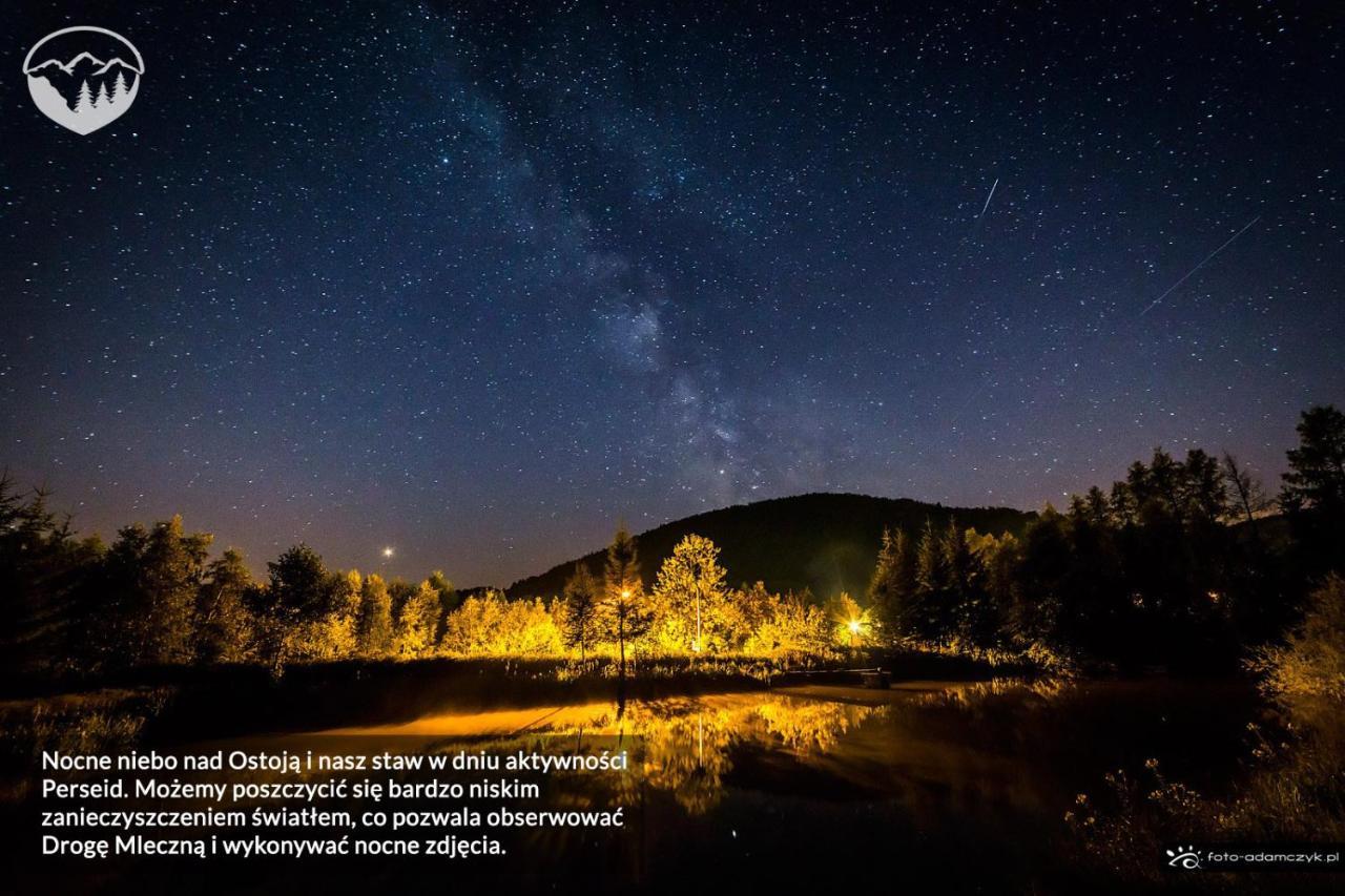 Agroturystyka Leszczynowe Wzgorze Глушица Экстерьер фото